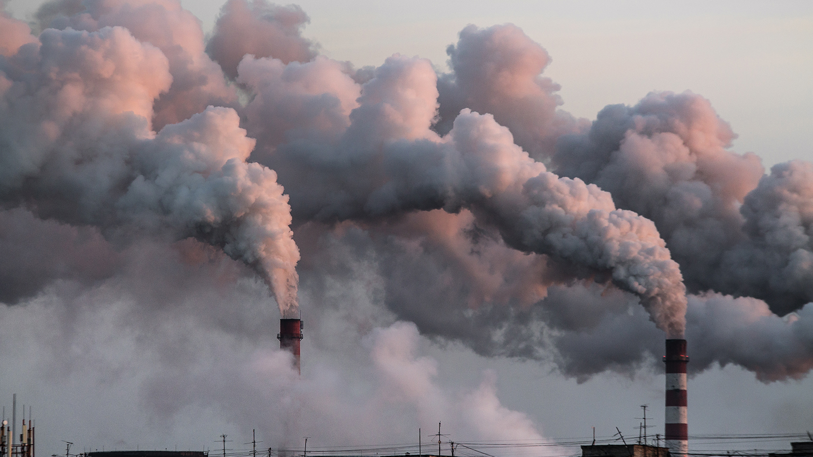 生态环境部：确保碳排放权交易市场健康有序发展