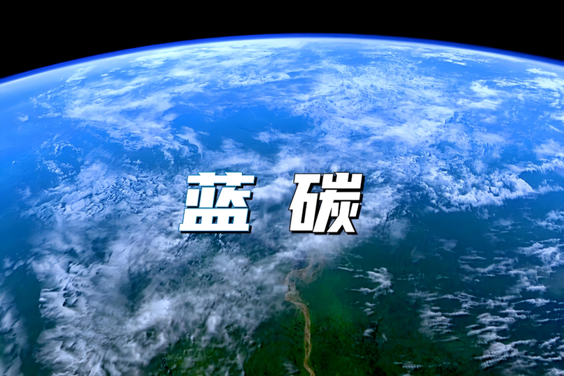 海口出台方案促蓝碳经济发展