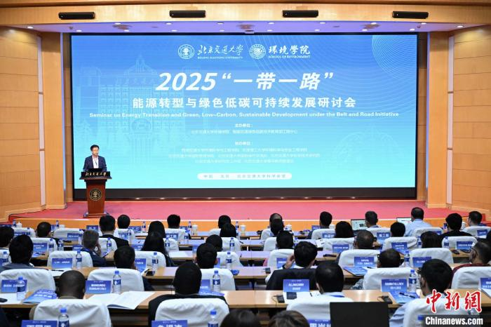 深化绿色合作 中外专家研讨共商“一带一路”能源转型