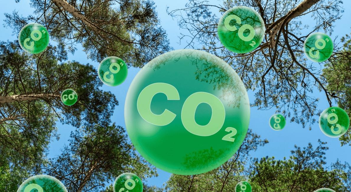 碳排放管理员助力各行业低碳转型绿色发展